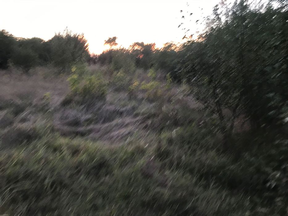 1,500 m2 Teren intravilan fără construcții pe el