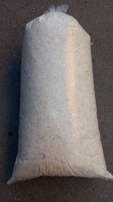 Pene  gîscă.  Folosit.