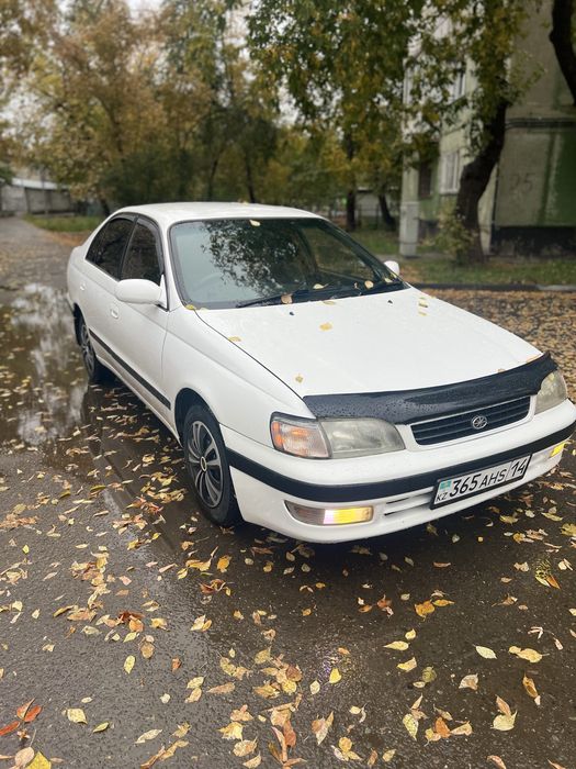 Обмен машину на лошадей