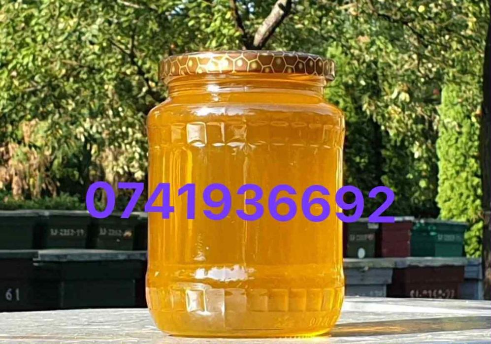 Miere naturală direct de la producător la 15 lei/kg