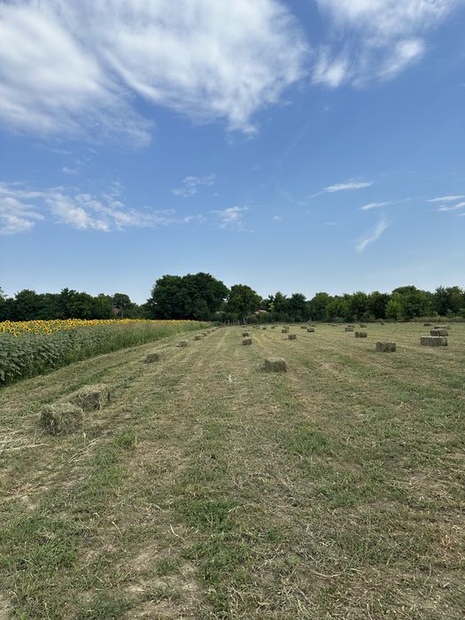 Baloti lucerna / paie