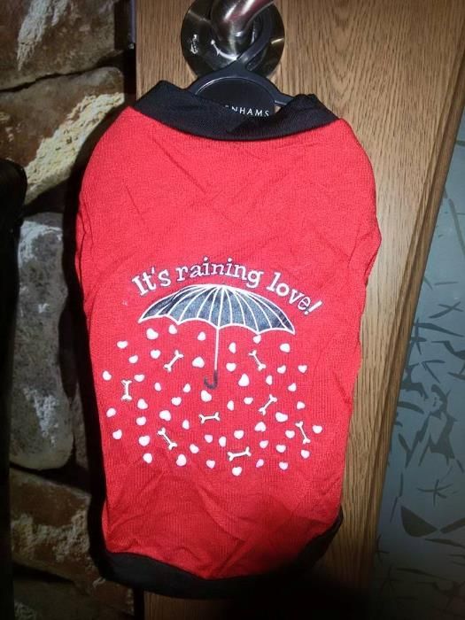 НАМАЛЕНИЕ дрехи, тениски за кученца