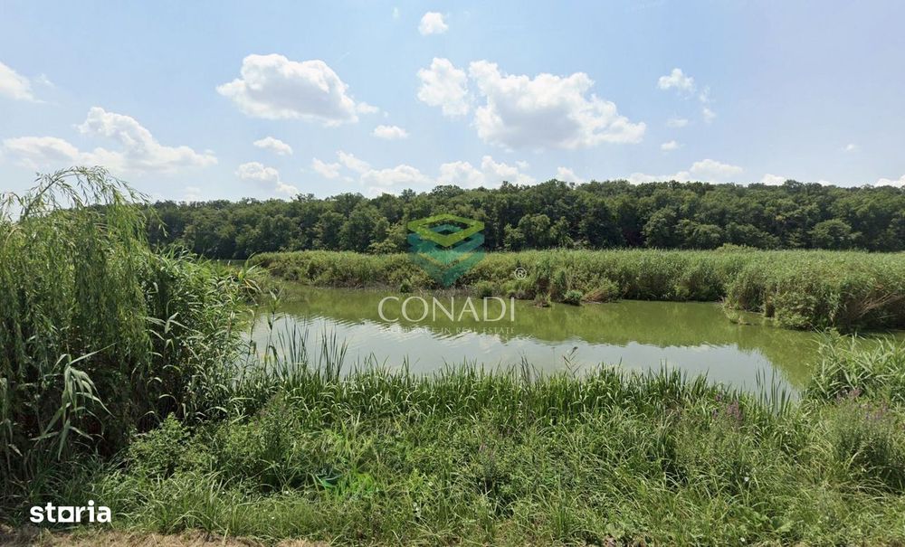 Teren 800mp Vadu Anei | Branesti | Langa Lac si Padure | Rezidential
