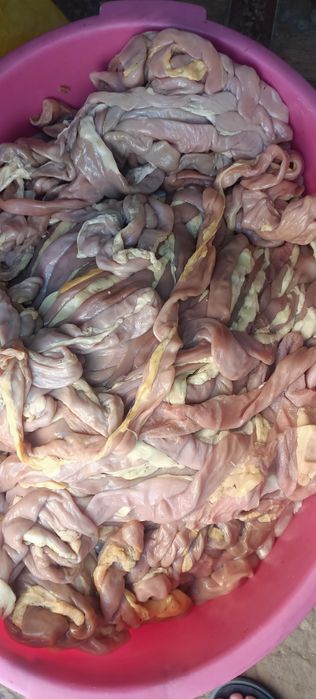 Продам конские черева (шек)