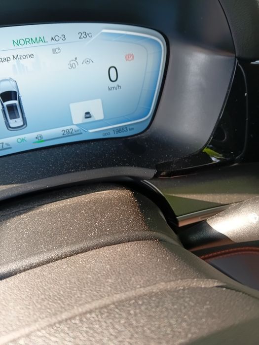 Other Song Pro DM-i Champion 2024 — 2