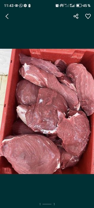 Мякоть конина мясо говядина Тарбагатайский