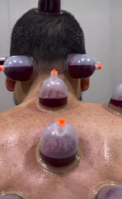 Xijoma va zuluk xizmati ( VIZIF )