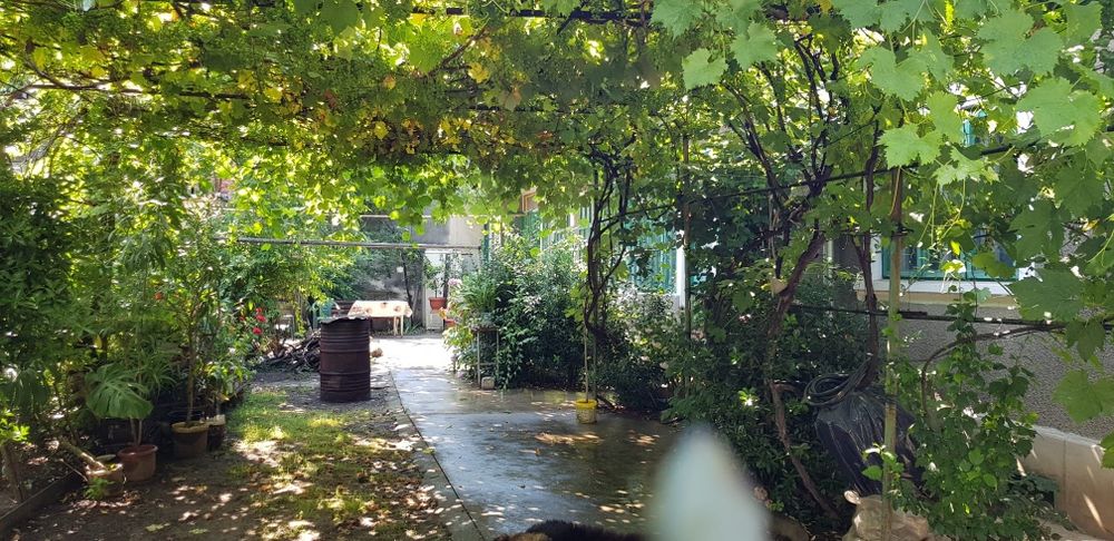 Casa renovabila/demolabila 4 camere, 508 mp teren, Central