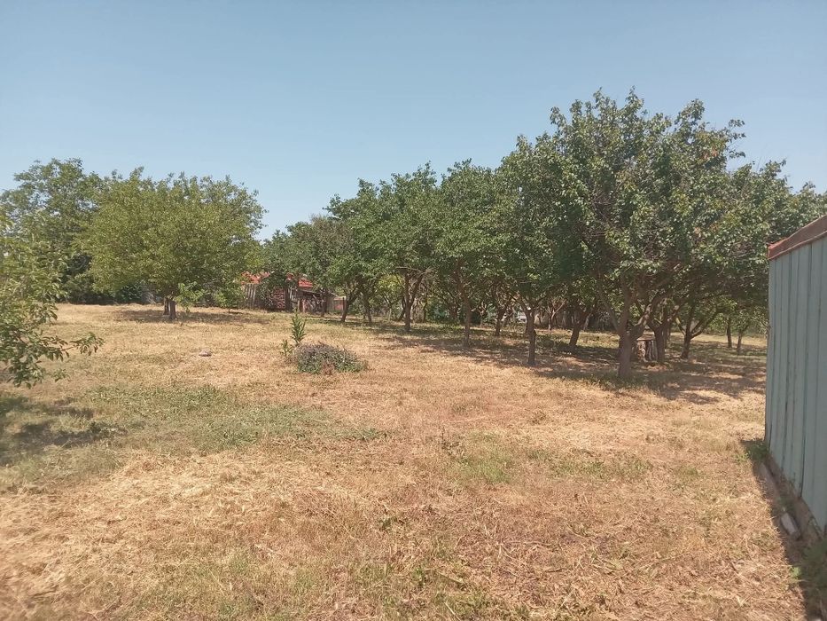 Продаваме дворно място със статут за постройка