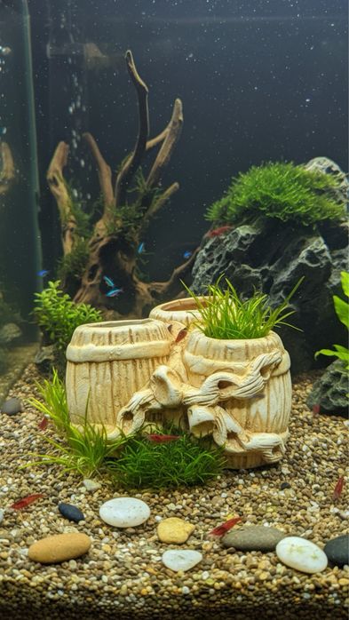 Новый Декор для аквариума