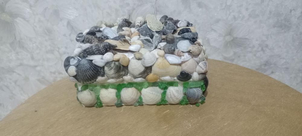 Ракушки с Анапы раковины