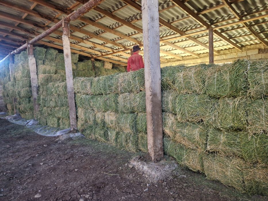 Жоңышқа пресс 2500 тг.