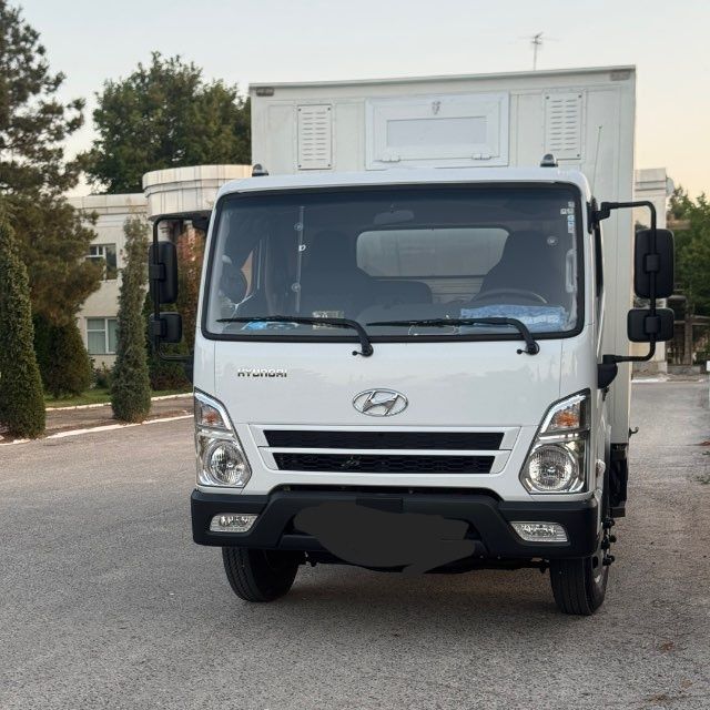 Hyundai mighty bortlik