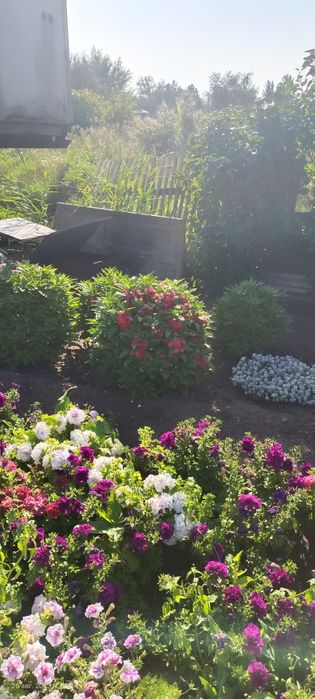 Продаем дачу в обществе Мичуринец