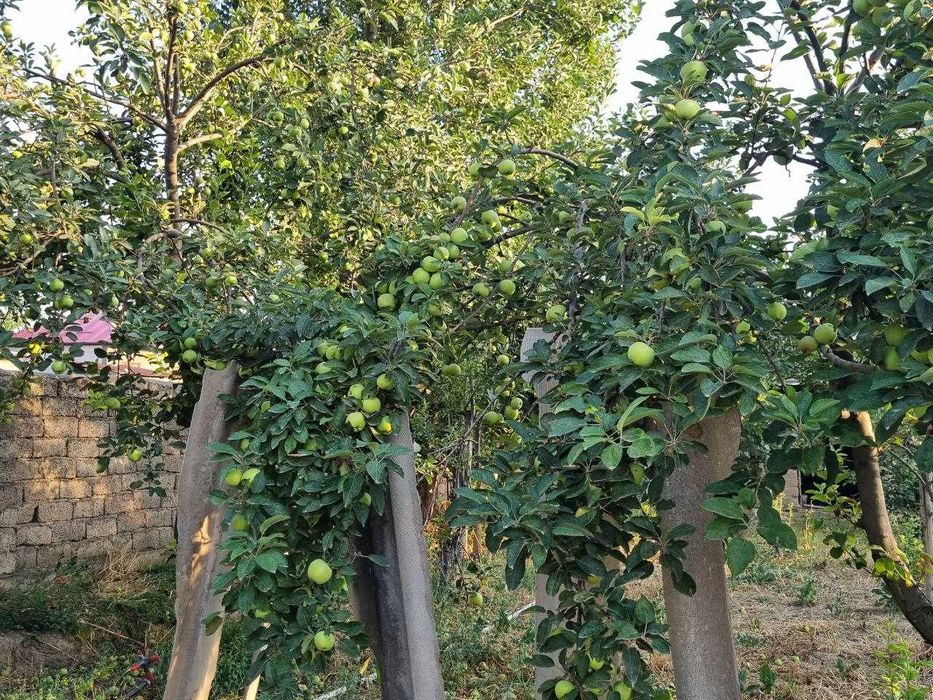 Продается дом, г Нурафшан, 10 соток