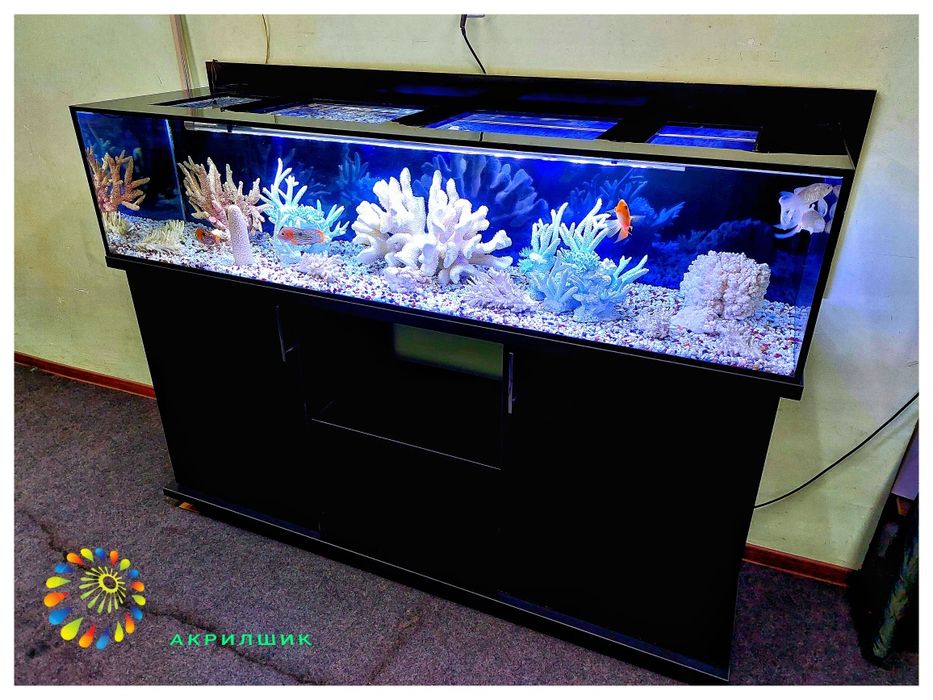 Аквариум  из акрила
