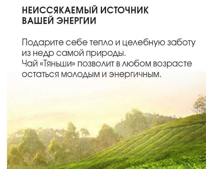 Чай Тяньши — травяной оздоровительный напиток