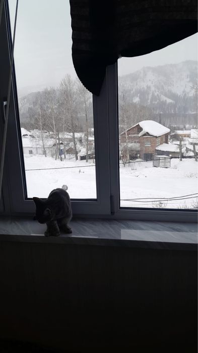 Обмен 2х комнатной квартиры