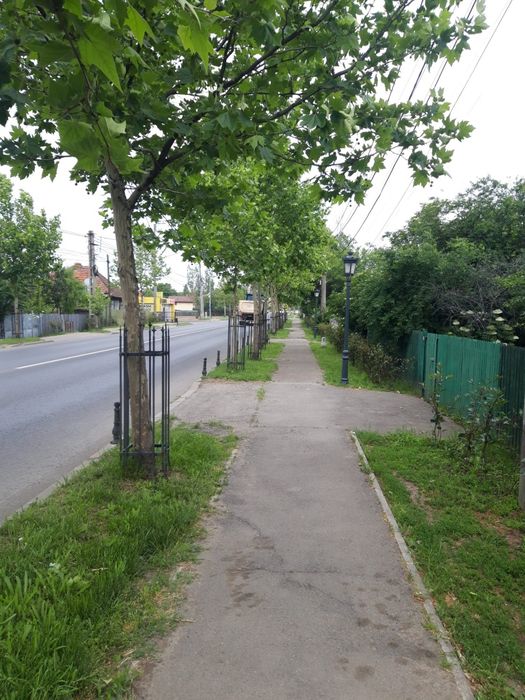 Teren de vânzare în Mogosoaia 1730 m²