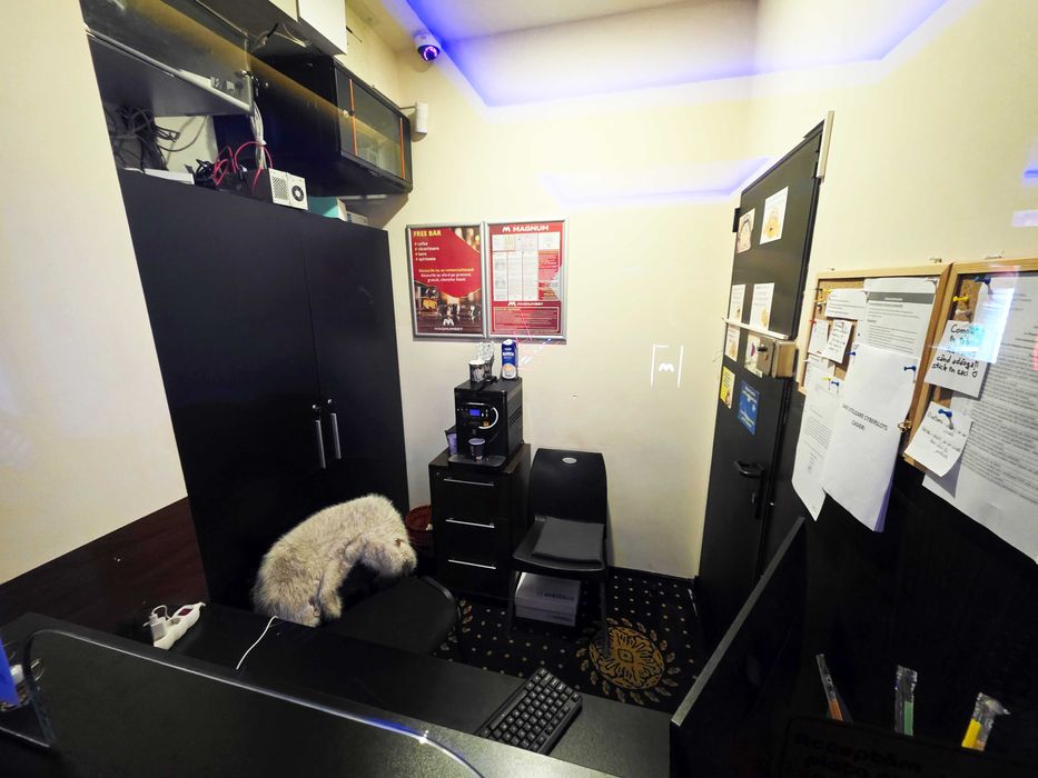 Spatiu Comercial Parter Potcoava de Aur