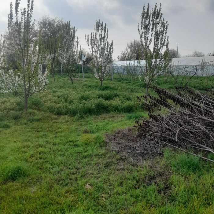 Sirdaryo shaharda uchastka sotiladi 12 sotx