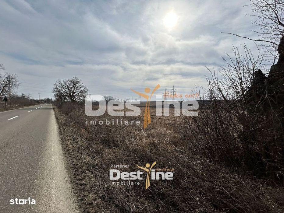 Teren de vanzare Caciulesti 11.000Euro 1300mp