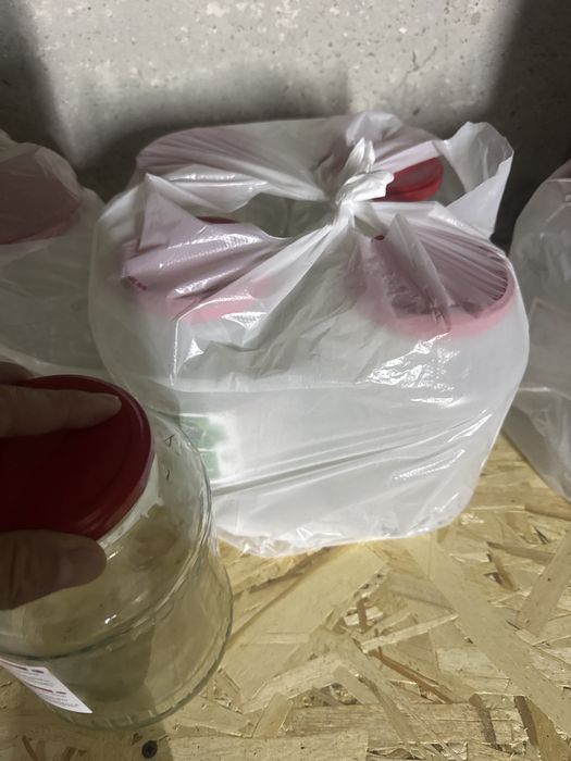 Банки 1,5л из под огурцов