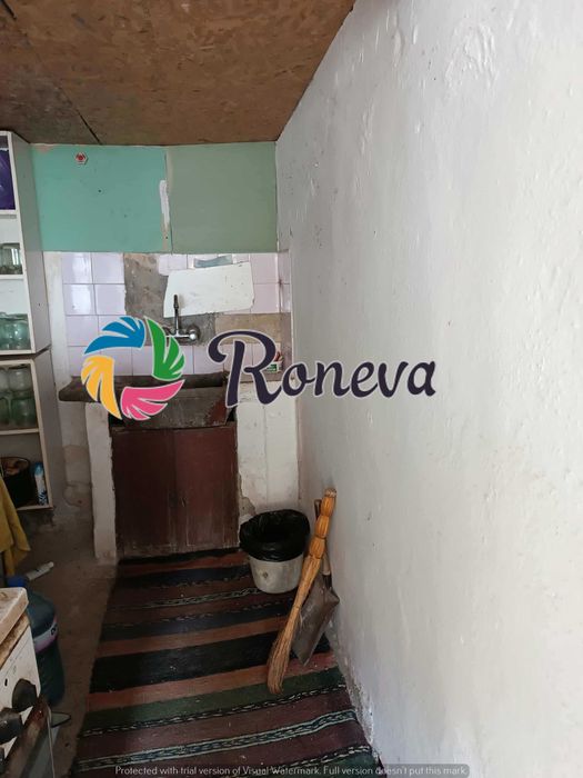 Голямо дворно място с къща и много сезонни постройки