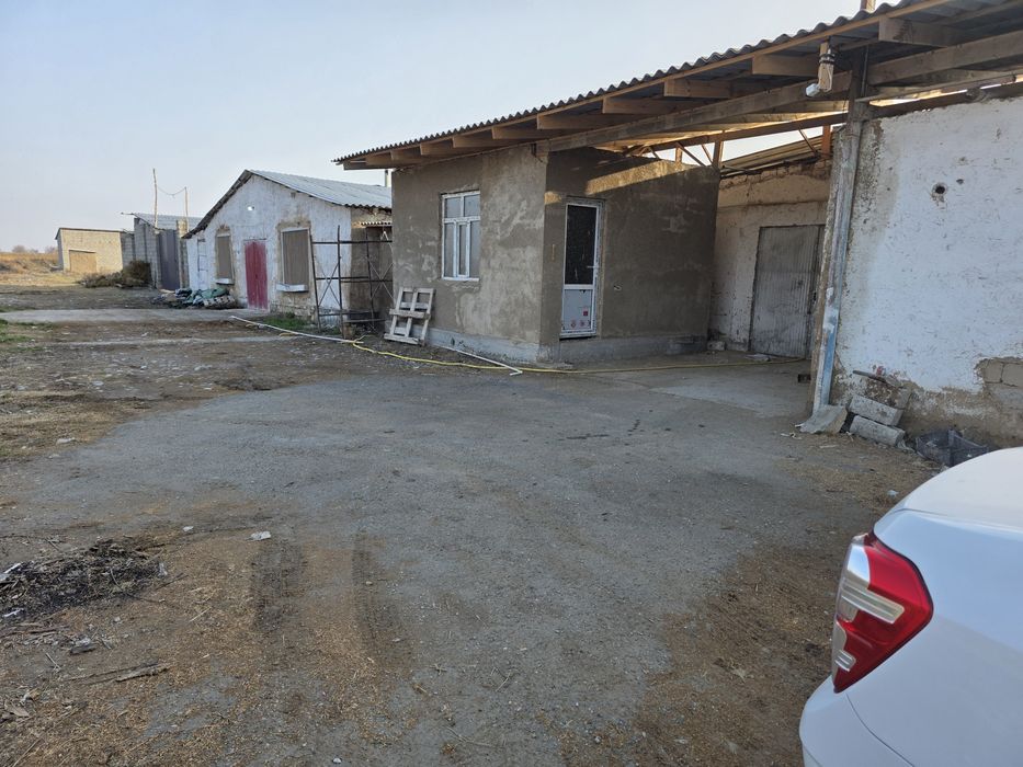 Карамол учун ферма   товук ферма  фабрика