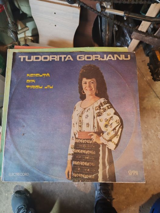 Discuri vinil în stare foarte buna