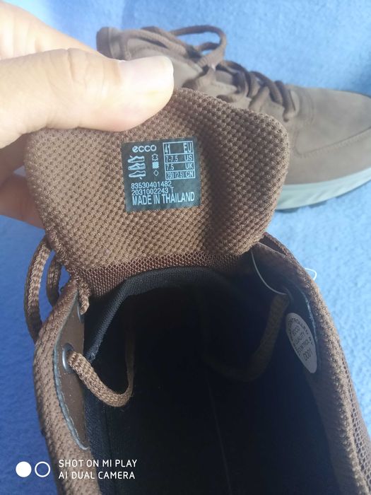 Ecco coretex номер 41.