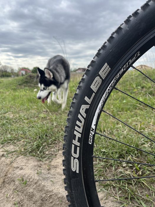 MTB Dirtbike BMC Sport Elite