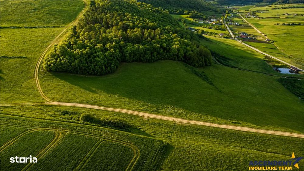 6.000 mp teren granitat de liziera compacta de padure, ecran natural d
