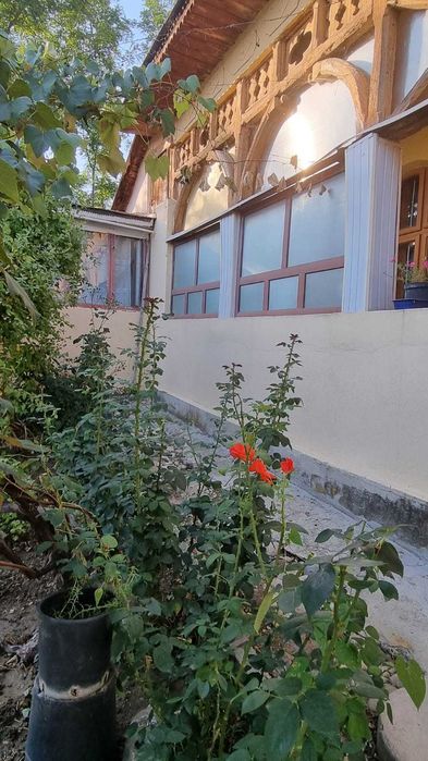 Casa si teren suprafata totala 3.359 mp-sat Teslui, Olt