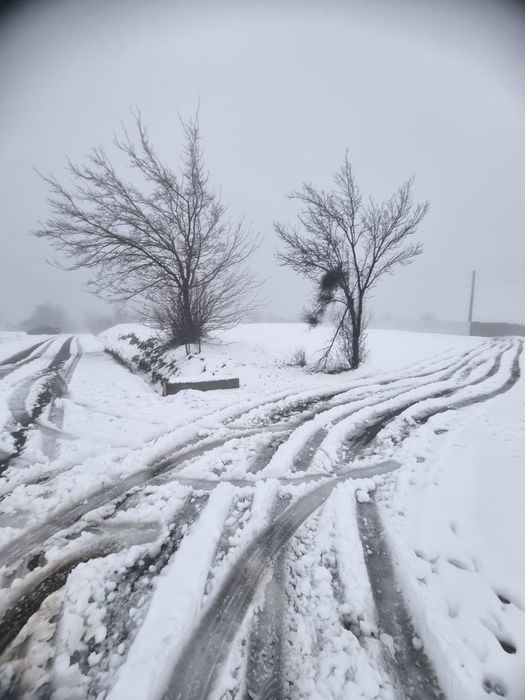 Vand teren cu vedere la dunare