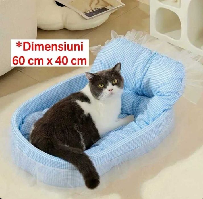 Patut pisica sau câine căsuță