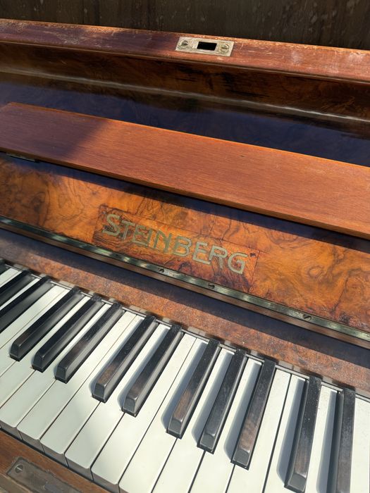 Pianina Steinberg