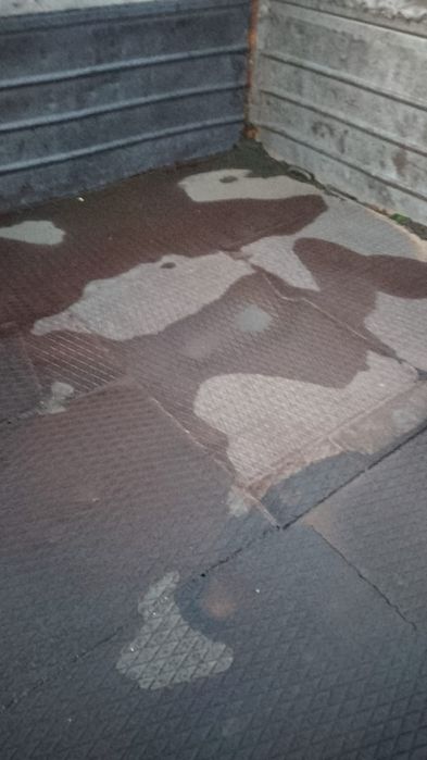 Продам газ 53 зерновой самосвал