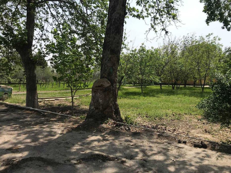 tadbirkorlik uchun binolari bn 4,5 gektar maydonga ega ko'chmas mulk