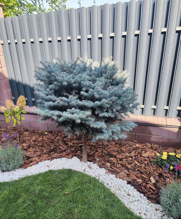 Газон ручной полив