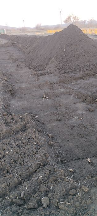 Pământ negru vegetal