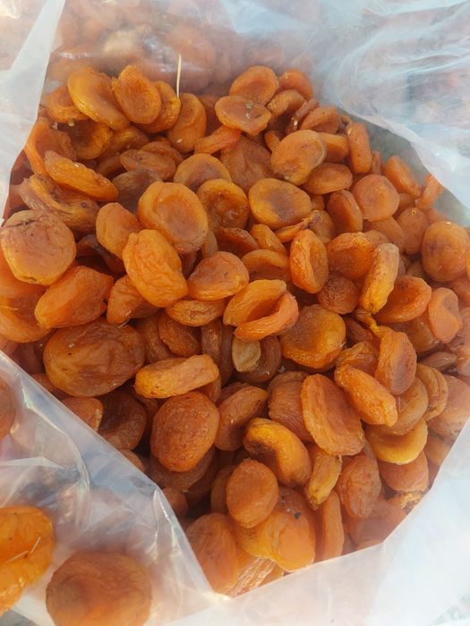 Коки ориклар хар хил