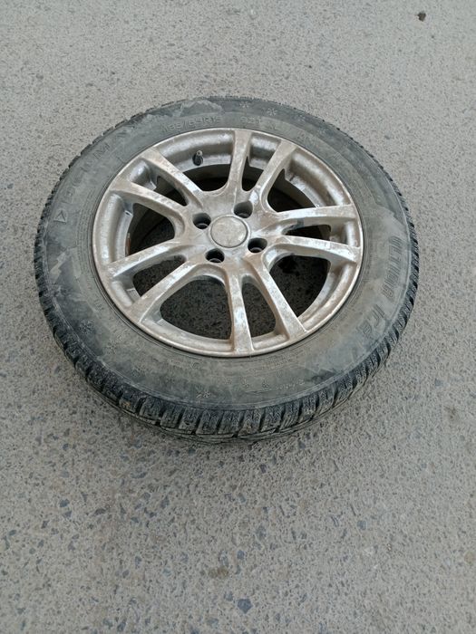 Диски с шипованной резиной