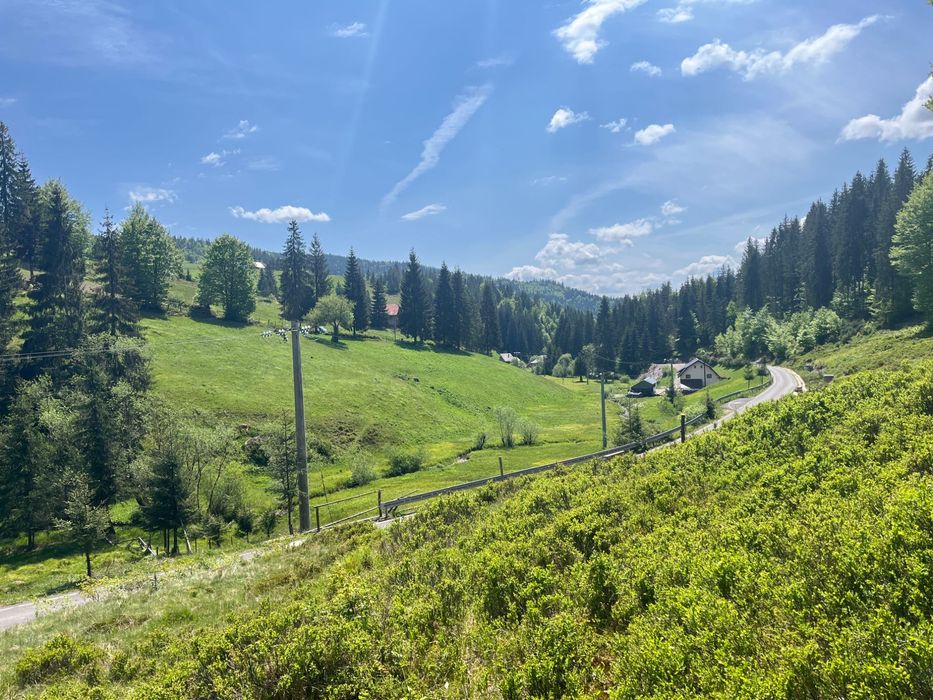 Teren intravilan Arieseni - 1250 mp - lângă drum asfaltat