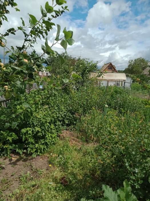 Продам дачу  ухоженную