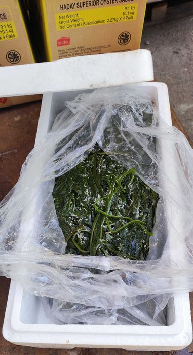 Морская капуста (соленая)