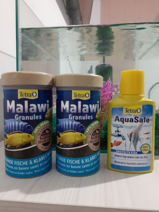 Set complet de acvariu cu pești