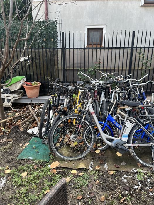 Biciclete SH Germania