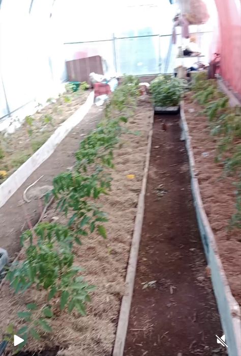 Продам теплицу 3*8