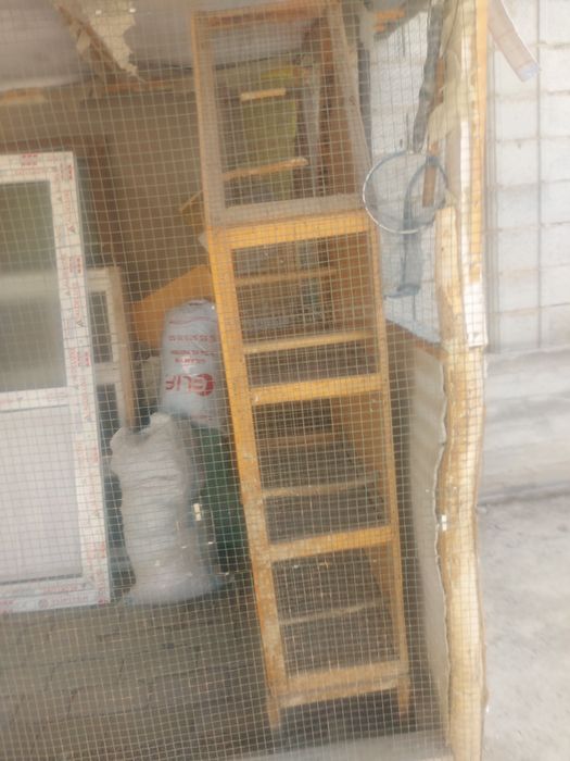 Qush uchun qavas sotiladi